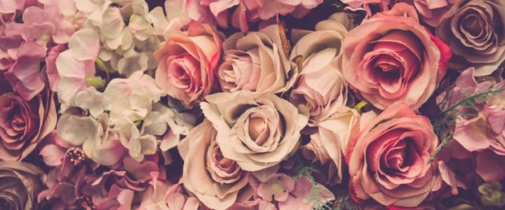 Roses éternelles en boite pour la Saint-Valentin